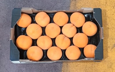 Foto Pesche Gialle Varietà Romea Calibro A16 Origine Spagna Marchio Diez 3
