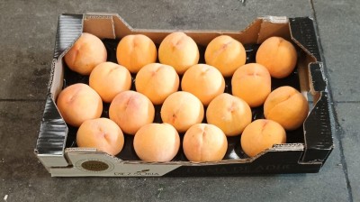 Foto Pesche Gialle Varietà Romea Calibro A18 Origine Spagna Marchio Diez 1
