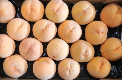Foto Pesche Gialle Varietà Romea Calibro A18 Origine Spagna Marchio Diez 2