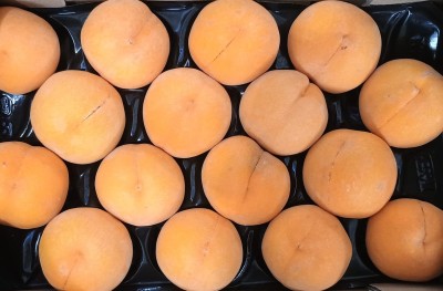 Foto Pesche Gialle Varietà Pavoro Calibro A18 Origine Spagna Marchio Diez 2