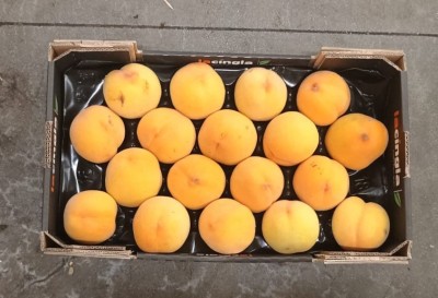 Foto Pesche Gialle Varietà Percoche Calibro 16 Origine Spagna Marchio La Cingla 3