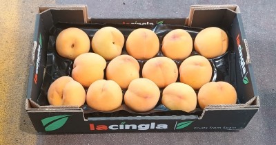 Foto Pesche Gialle Varietà Percoche Calibro 14 Origine Spagna Marchio La Cingla  1