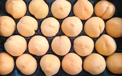 Foto Pesche Gialle Varietà Percoche Calibro 22 Origine Spagna Marchio Aromas  2