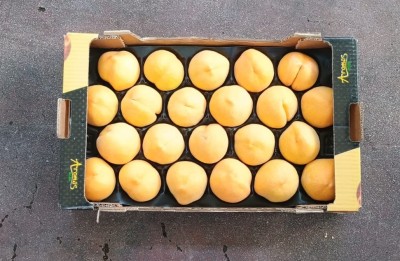 Foto Pesche Gialle Varietà Percoche Calibro 22 Origine Spagna Marchio Aromas  3