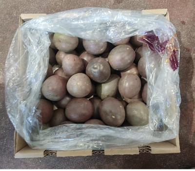 Foto Passion Fruit Origine Colombia Marchio Caribbean Exotic 3