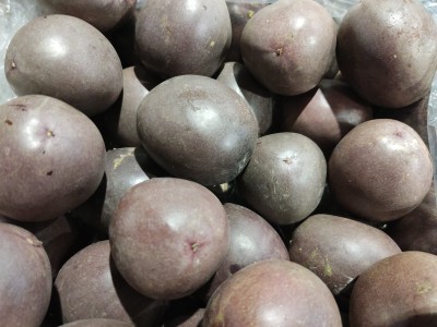 Foto Passion Fruit Origine Colombia Marchio Exotic Caribbean 2