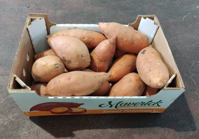 Foto Patate Dolci Confezione da 6 Kg Origine Egitto Marchio Maverik 1
