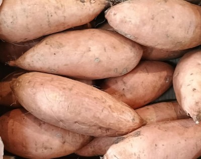 Foto Patate Dolci Confezione da 6 Kg Origine Egitto Marchio Farida 2
