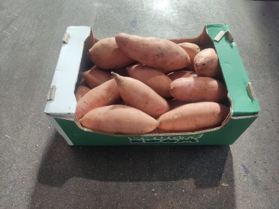 Foto Patate Dolci Confezione da 6 Kg Origine Egitto Marchio Vrute Boom 1