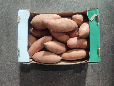 Foto Patate Dolci Confezione da 6 Kg Origine Egitto Marchio Vrute Boom 2