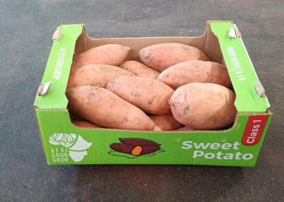 Foto Patate Dolci Confezione da  6 Kg Origine Egitto Marchio Sweet Potatoes 1
