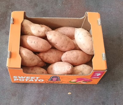 Foto Patate Dolci Confezione Da 6 Kg Origine Egitto Marchio Sweet Potato  1