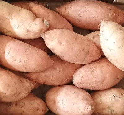 Foto Patate Dolci Confezione Da 6 Kg Origine Egitto Marchio Sweet Potato  2