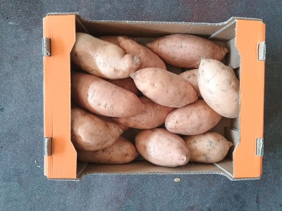 Foto Patate Dolci Confezione Da 6 Kg Origine Egitto Marchio Sweet Potato  3