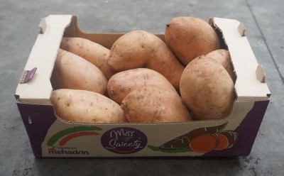 Foto Patate Dolci Confezione da 6 Kg Origine Egitto Marchio Miss Sweety  1