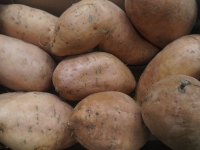Foto Patate Dolci Confezione da 6 Kg Origine Egitto Marchio Miss Sweety  2