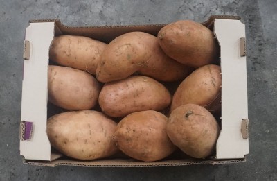 Foto Patate Dolci Confezione da 6 Kg Origine Egitto Marchio Miss Sweety  3