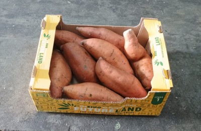 Foto Patate Dolci Confezione da 6 Kg Origine Egitto Marchio Futurland 1