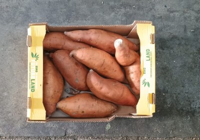 Foto Patate Dolci Confezione da 6 Kg Origine Egitto Marchio Futurland 3