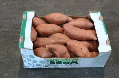 Foto Patate Dolci Confezione da 6 Kg Origine Egitto Marchio Virugte Boom 1
