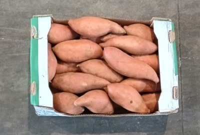 Foto Patate Dolci Confezione da 6 Kg Origine Egitto Marchio Virugte Boom 3