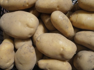 Foto Patate Varietà Bianche Origine Italia Marchio Pallavicino  2