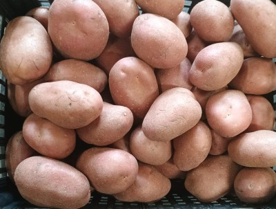 Foto Patate Rosse Origine Francia Marchio Arnone  2