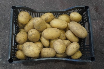 Foto Patate Bianche Origine Italia Marchio Arnone  2