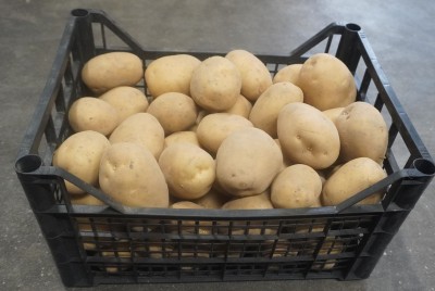 Foto Patate Bianche Origine Italia Marchio Raffaele 1