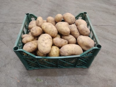 Foto Patate Bianche Origine Italia Marchio Agriroma 1