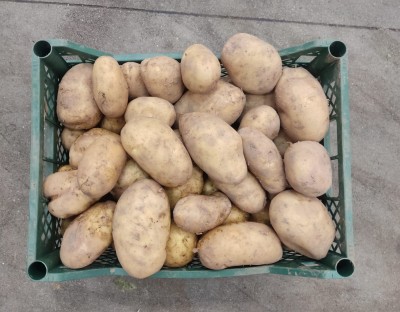 Foto Patate Bianche Origine Italia Marchio Agriroma 2