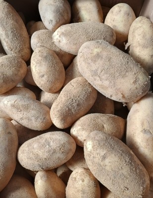 Foto Patate Bianche Varietà Spunta Calibro 50+ Origine Egitto Marchio Sacco Rosa  2