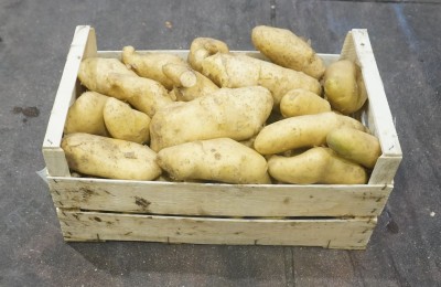 Foto Patate Bianche Origine Italia Marchio Allocca  1