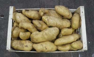 Foto Patate Bianche Origine Italia Marchio Allocca  3