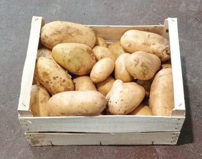 Foto Patate Bianche Origine Italia Marchio Allocca  1