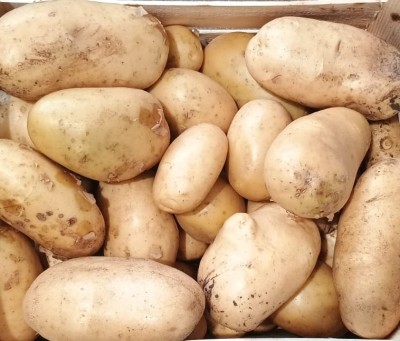 Foto Patate Bianche Origine Italia Marchio Allocca  2