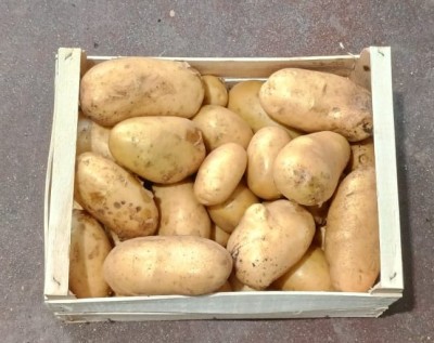 Foto Patate Bianche Origine Italia Marchio Allocca  3
