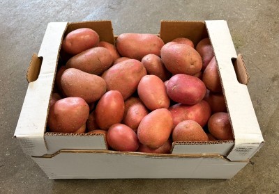 Foto Patate Rosse Origine Francia Marchio Cartone Bianco  1