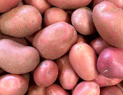 Foto Patate Rosse Origine Francia Marchio Cartone Bianco  2