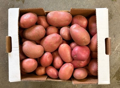 Foto Patate Rosse Origine Francia Marchio Cartone Bianco  3