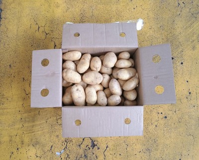 Foto Patate Varietà Agria  Origine Italia Marchio Don Patata           1