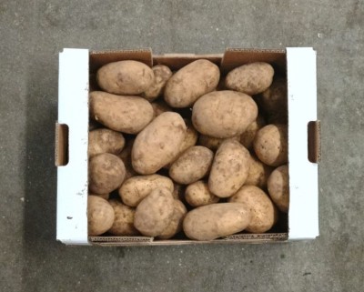 Foto Patate Bianche Origine Francia Marchio Cartone Bianco 3