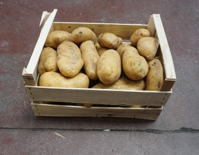 Foto Patate Bianche Origine Italia Marchio Capobianco  1