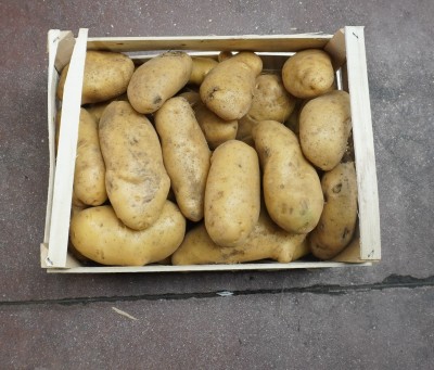 Foto Patate Bianche Origine Italia Marchio Capobianco  3
