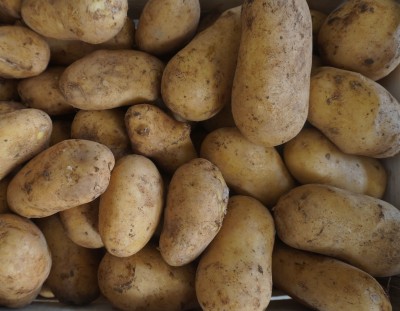 Foto Patate Bianche Origine Francia  Marchio Don Patata            2