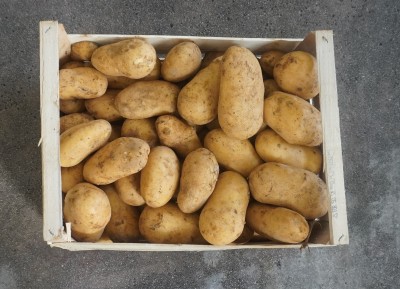 Foto Patate Bianche Origine Francia  Marchio Don Patata            3