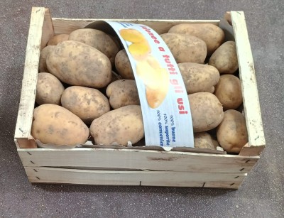 Foto Patate Bianche Origine Francia Marchio Luciano Fruit 1