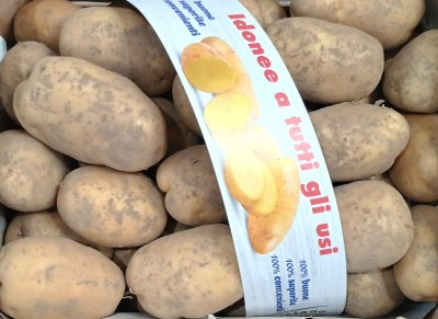 Foto Patate Bianche Origine Francia Marchio Luciano Fruit 2