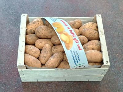 Foto Patate Bianche Calibro 50+ Origine Francia Marchio Patata Buona 1