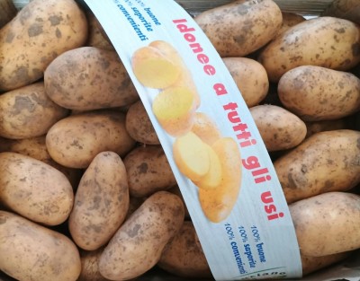 Foto Patate Bianche Calibro 50+ Origine Francia Marchio Patata Buona 2
